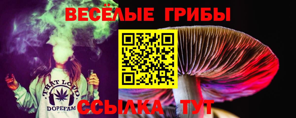 купить   Галлюциногенные грибы GOLDEN TEACHER  Вход с VPN  Щёлково 
